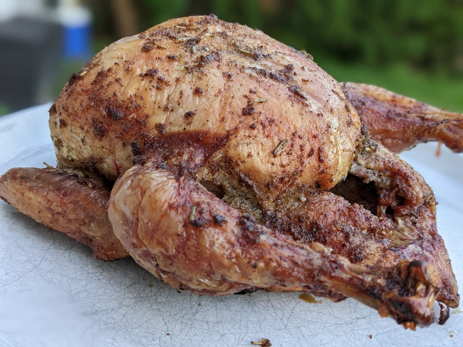 Roast-chicken-recipe-dry-brine-grill-to-perfection-hero-image-2-scaled