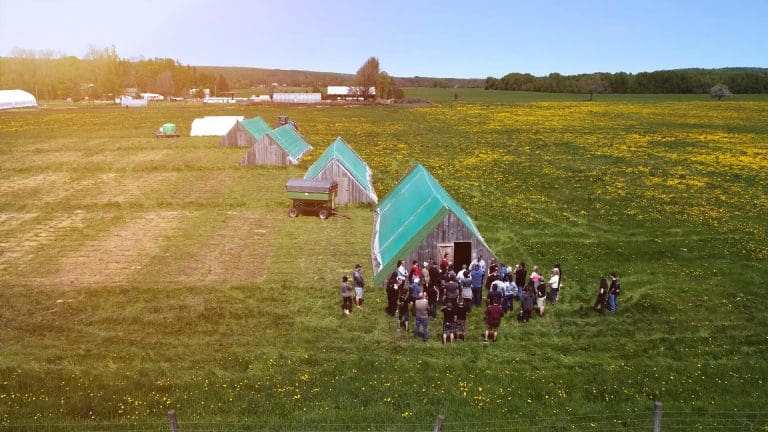 aerial-view-chad-dorothy-pastured-chicken-farm