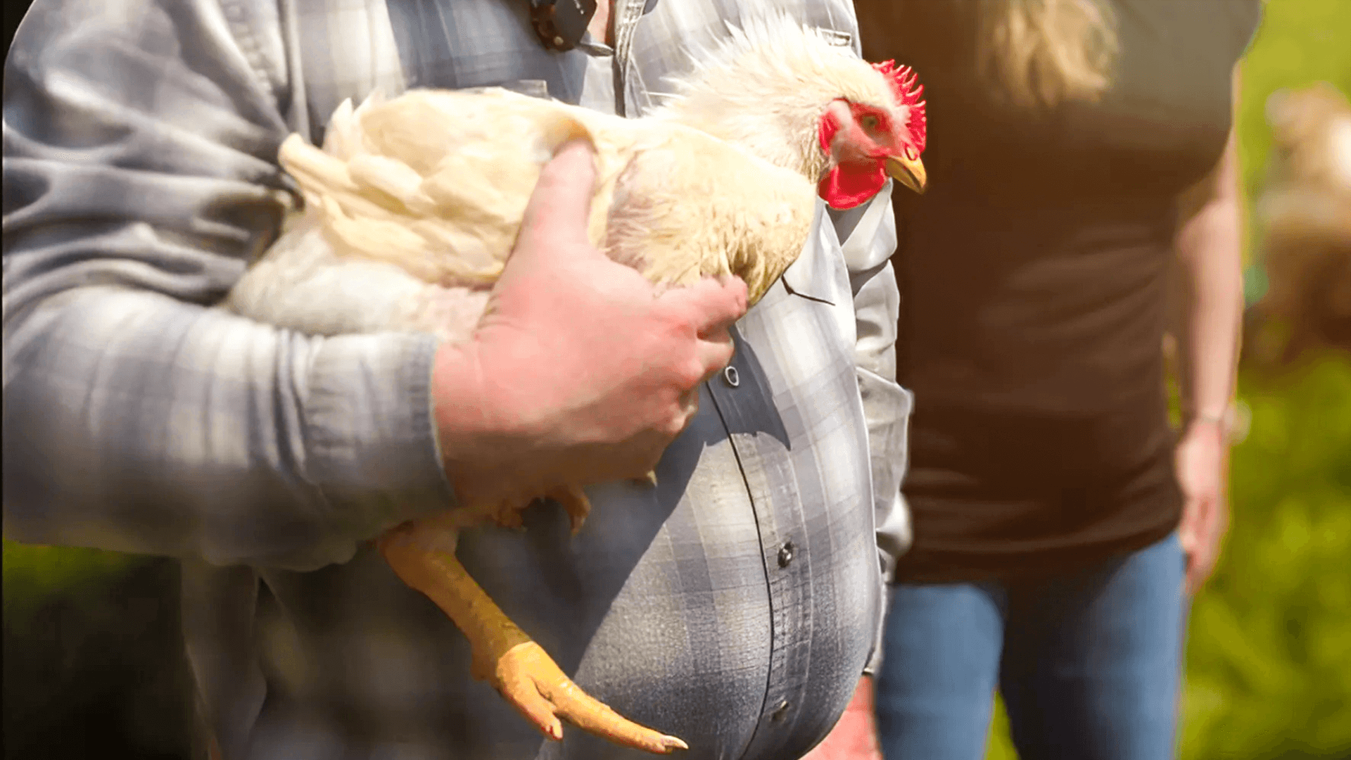 chad-holding-pastured-chicken-at-farm