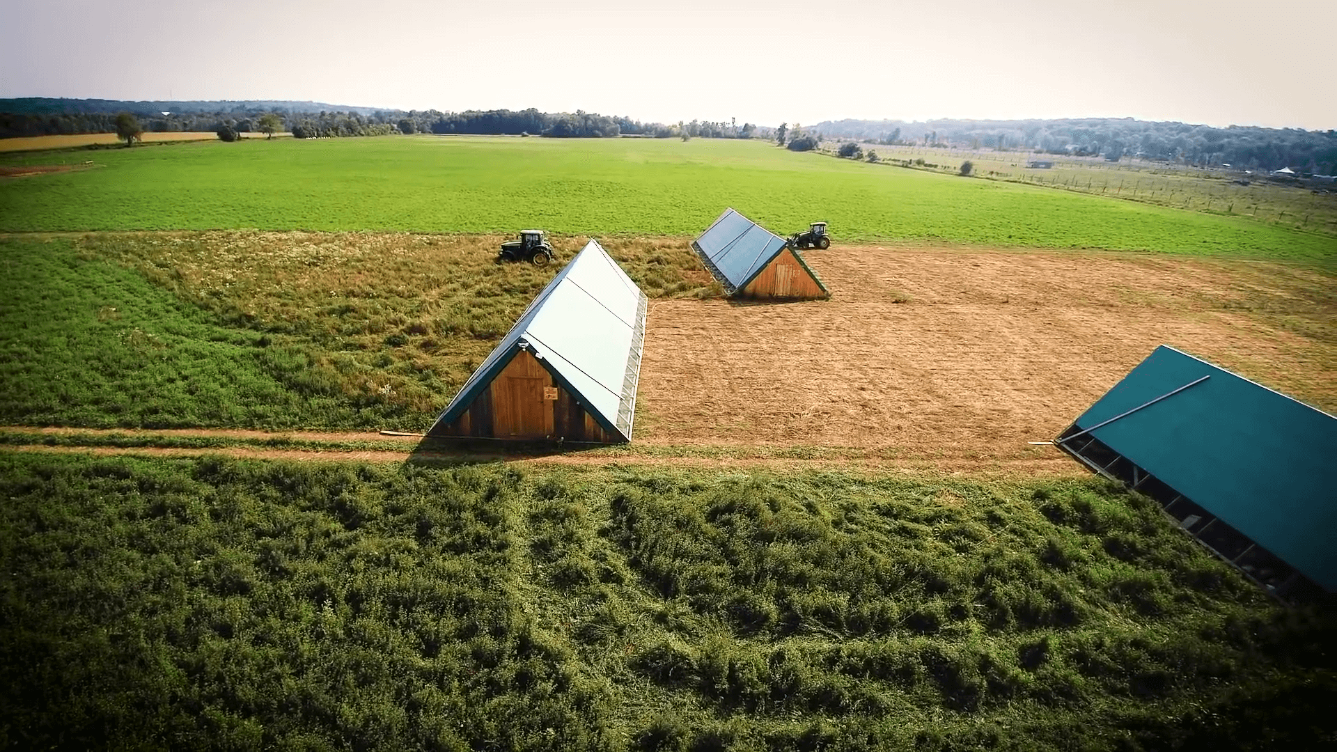 local-ontario-pasture-raised-chicken-farm