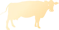 ontario-grass-fed-beef-outline-icon