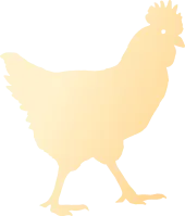 ontario-pastured-chicken-delivery-icon