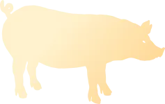 ontario-pork-delivery-icon