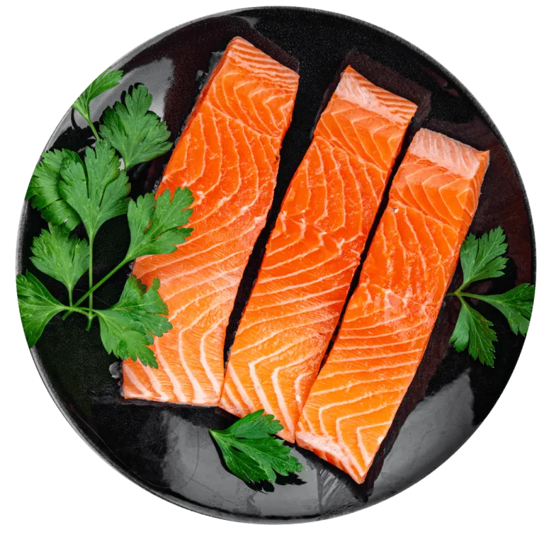 ontario-salmon-filet