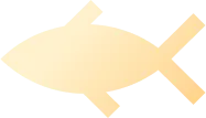 ontario-wild-caught-fish-delivery-icon