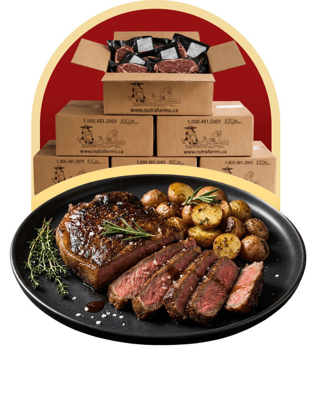 ontario-ny-striploin-steak-welcome-box-20-lbs-premium-beef-nutrafarms-freezer-ready-meals